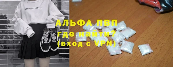 шишки Алзамай
