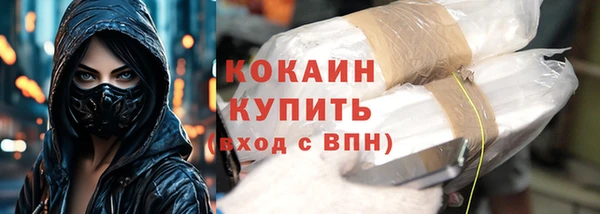 прущие грибы Алексин