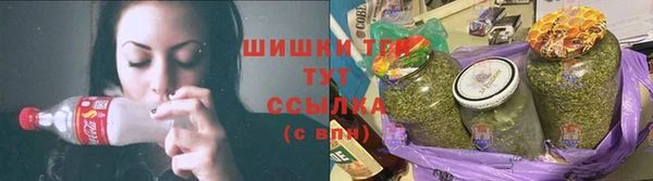 шишки Алзамай