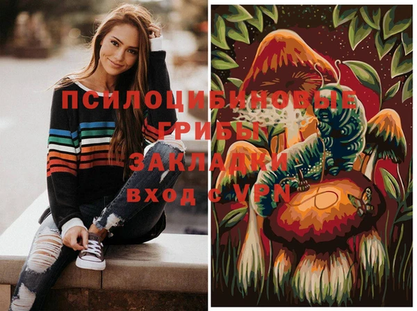 прущие грибы Алексин