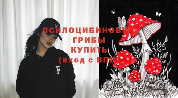 прущие грибы Алексин