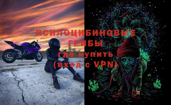шишки Алзамай