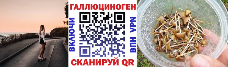 Галлюциногенные грибы мухоморы  Байкальск 